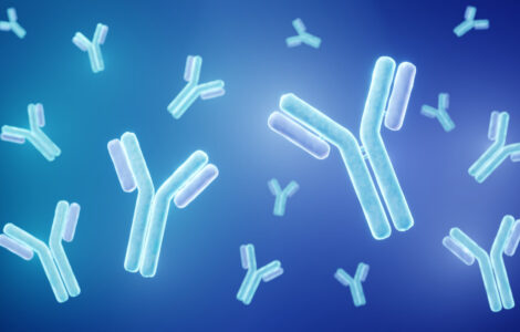 Antibodies 3d illustration