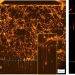 Large-scale manufacturing of foil-based microfluidic chips for neuron cell culture and axon outgrowth monitoring